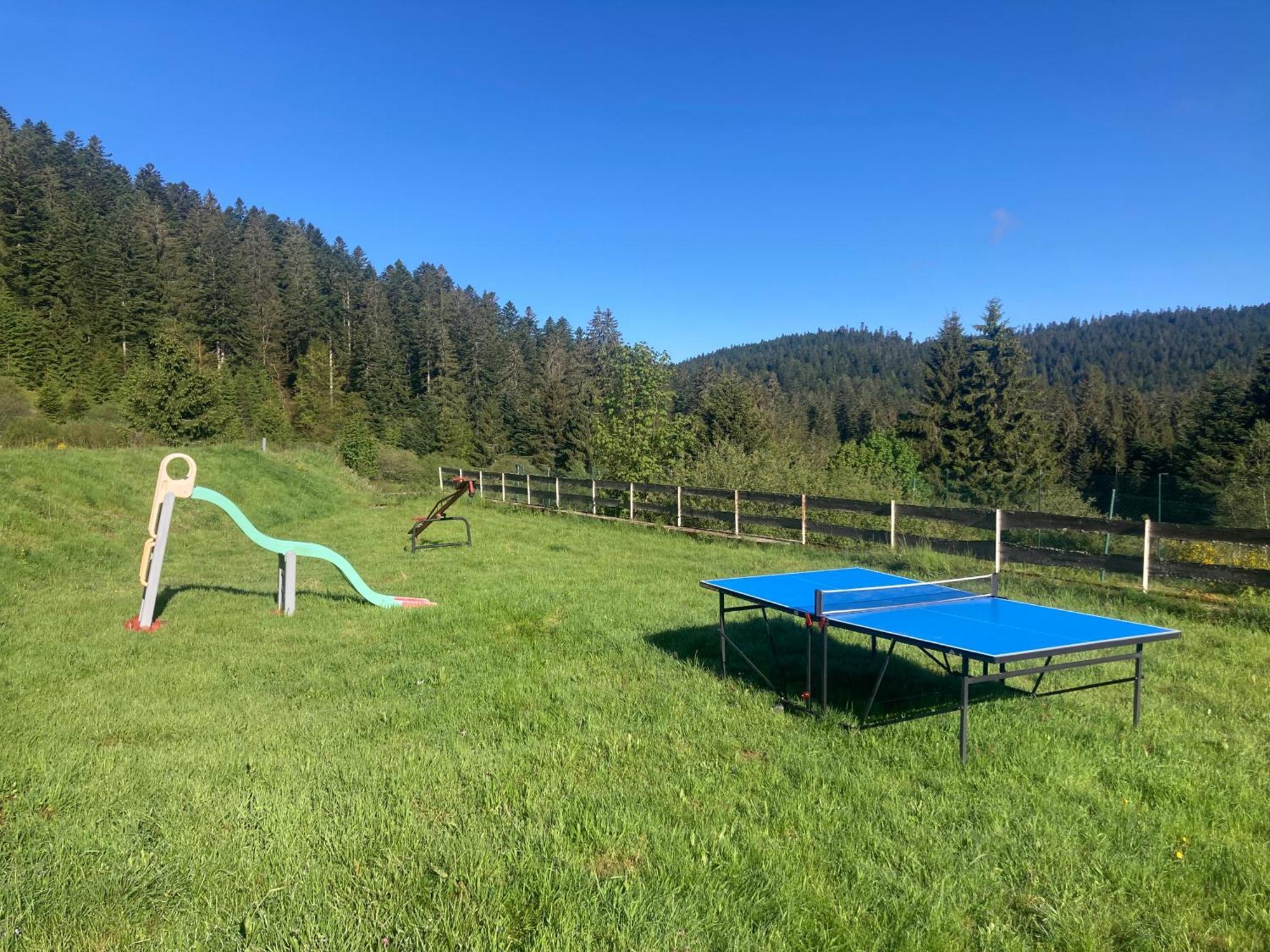 Le Perchoir Du Grand Valtin - Gite 5 Personnes - Altitude 830 Ban-sur-Meurthe-Clefcy Esterno foto