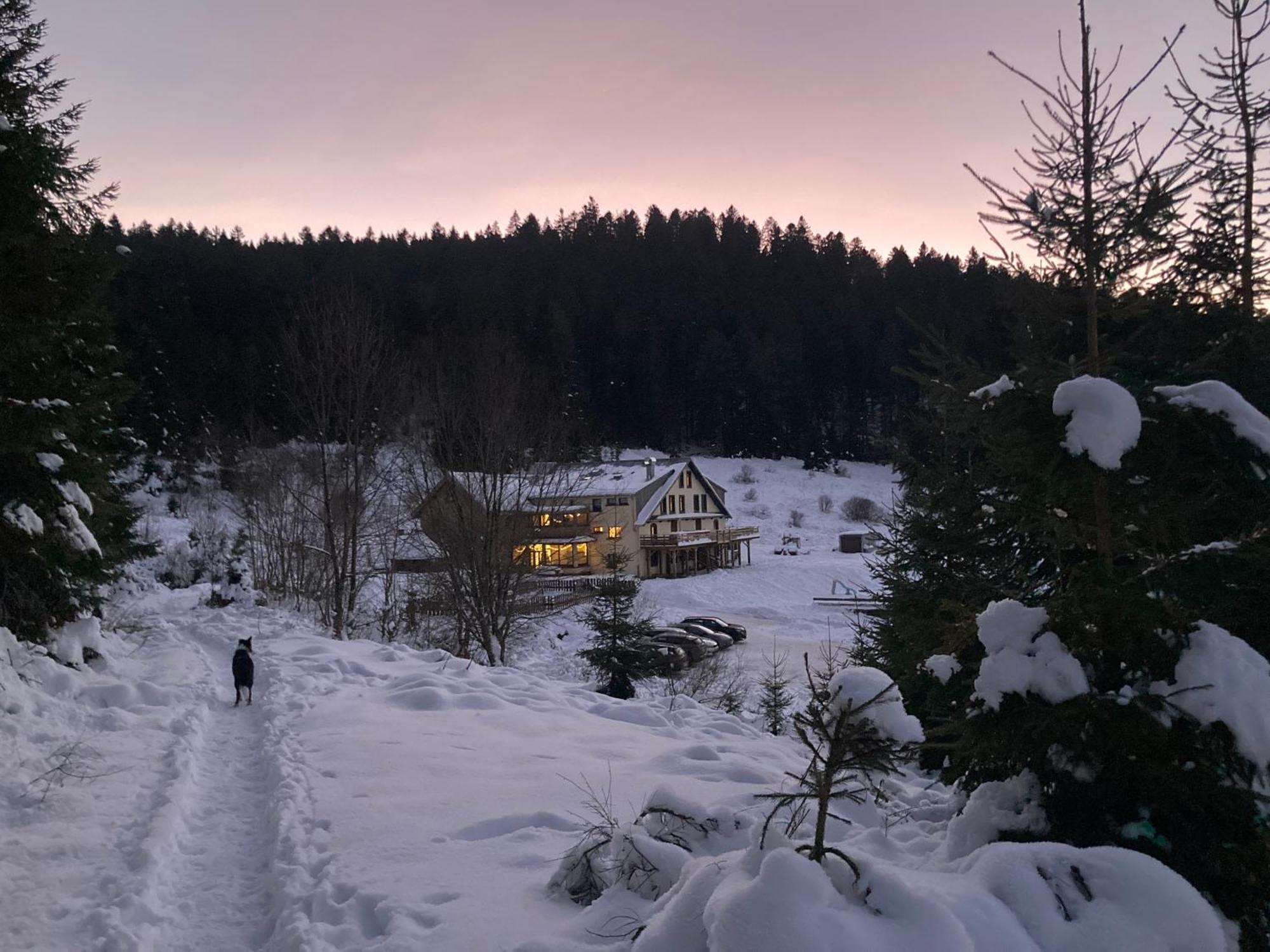 Le Perchoir Du Grand Valtin - Gite 5 Personnes - Altitude 830 Ban-sur-Meurthe-Clefcy Esterno foto